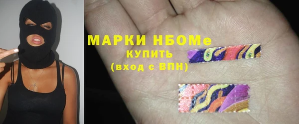 винт Няндома