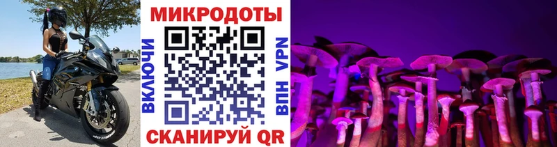 как найти закладки hydra ссылки Галлюциногенные грибы мицелий Оханск