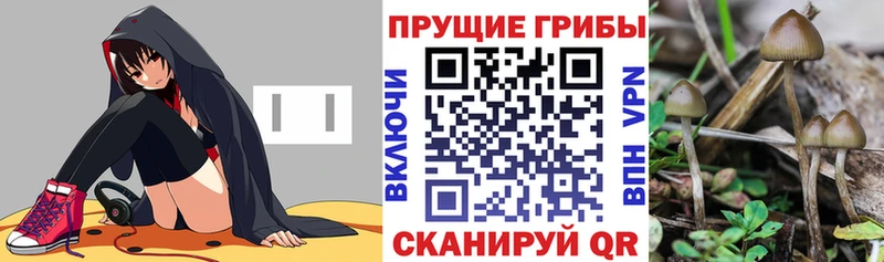 Галлюциногенные грибы мицелий Оханск