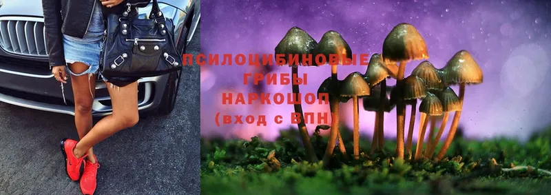 Псилоцибиновые грибы MAGIC MUSHROOMS  Оханск 